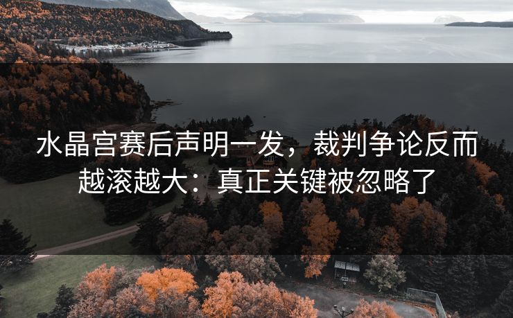 水晶宫赛后声明一发，裁判争论反而越滚越大：真正关键被忽略了