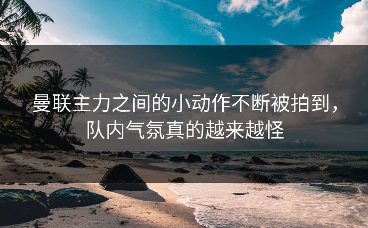 曼联主力之间的小动作不断被拍到，队内气氛真的越来越怪